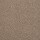 Masland Carpets: Embrace Bandicoot